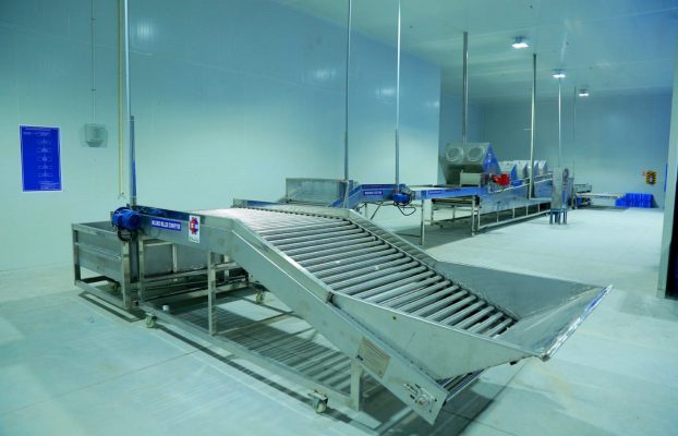 Sorting-grading-unit-Infrastructure